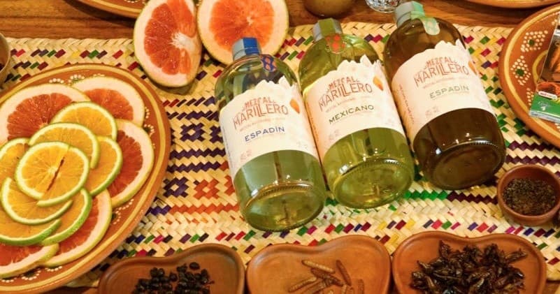 Bottles of mezcal with citrus slices and spices for tasting in Tulum