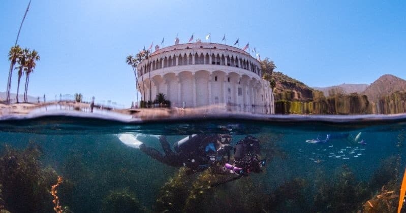 Avalon Underwater Photographer: Pro Marine Photos on Catalina Island photo 1