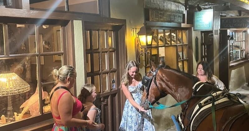 Horse and people interacting outside storefront at night on cobblestone street