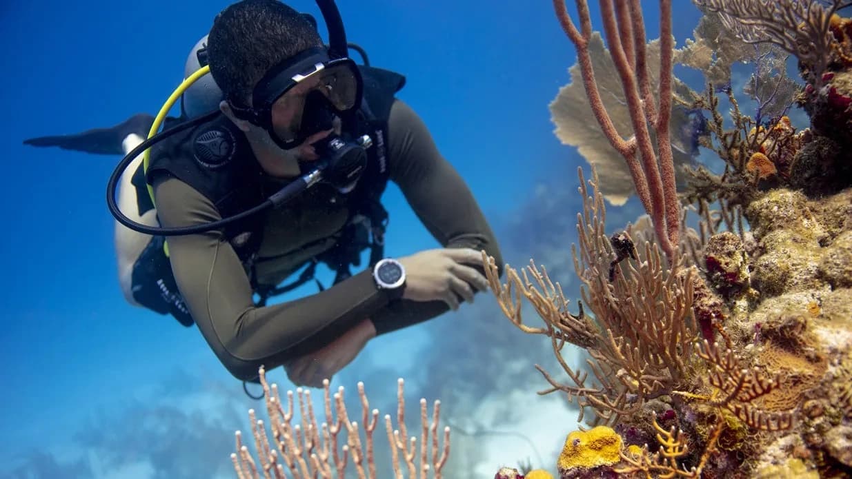 Master Neutral Buoyancy: Peak Performance Buoyancy in Newington, CT