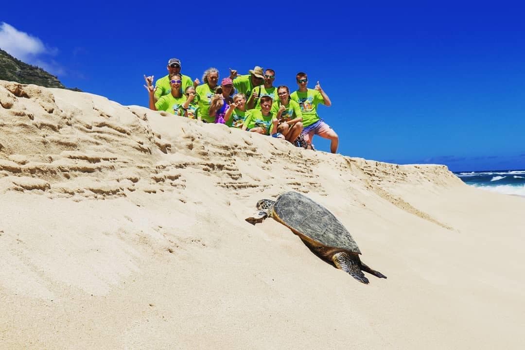 Explore Honolulu’s Private Island Tour with Hi5 Tours