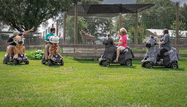 Wildlife Walking & Riding Tours at Carson Springs Wildlife Gainesville