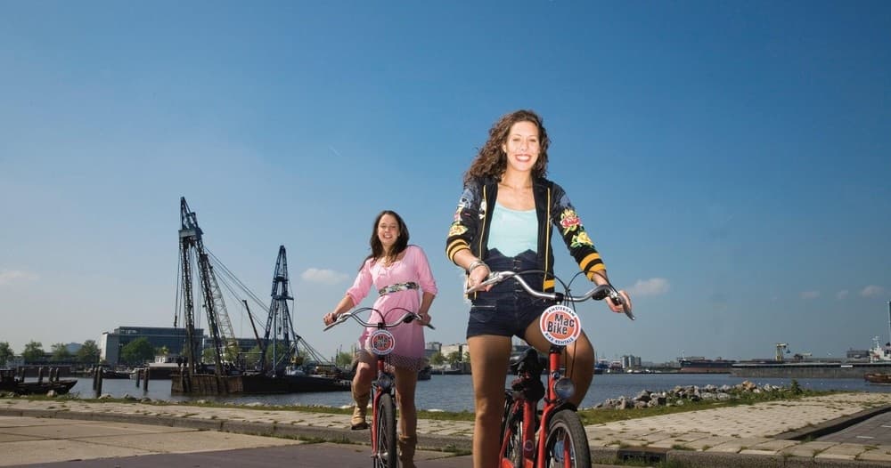 Cyclists enjoying sunny canal-side ride with blue skies