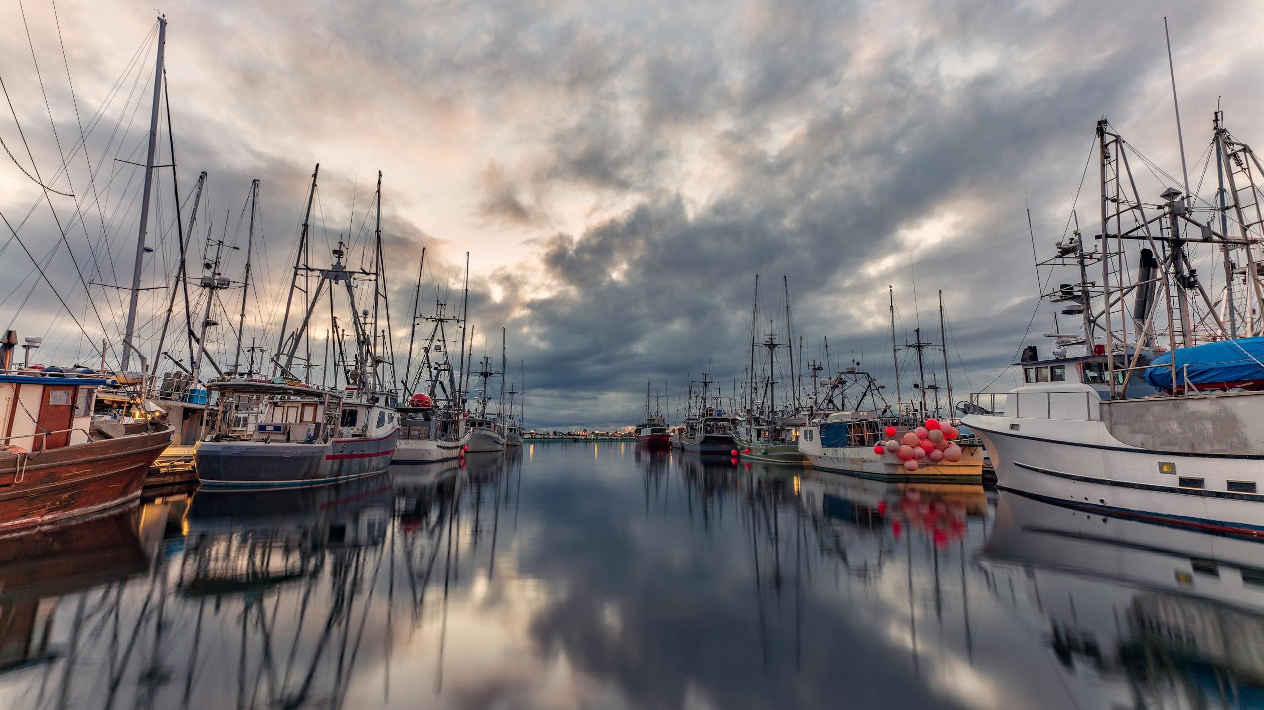 Coastal Fishing with Carlin Boat Charters in Weymouth