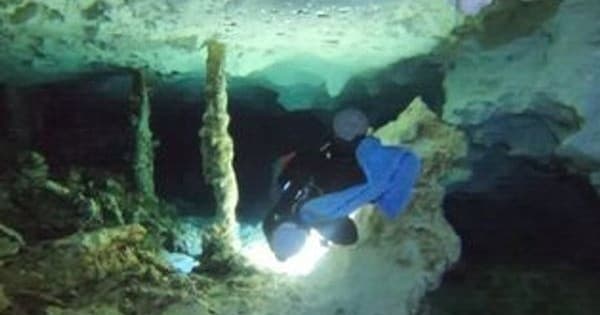 Avalon Advanced Diving: Cozumel-Style Open Water Course