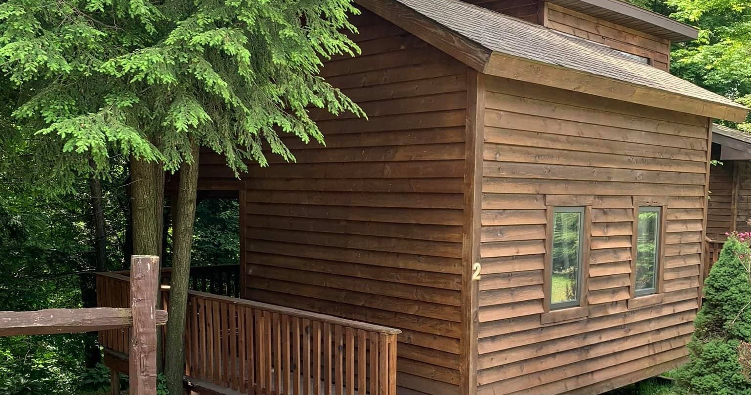 Wooden forest cabin deck surrounded by evergreen trees at camp