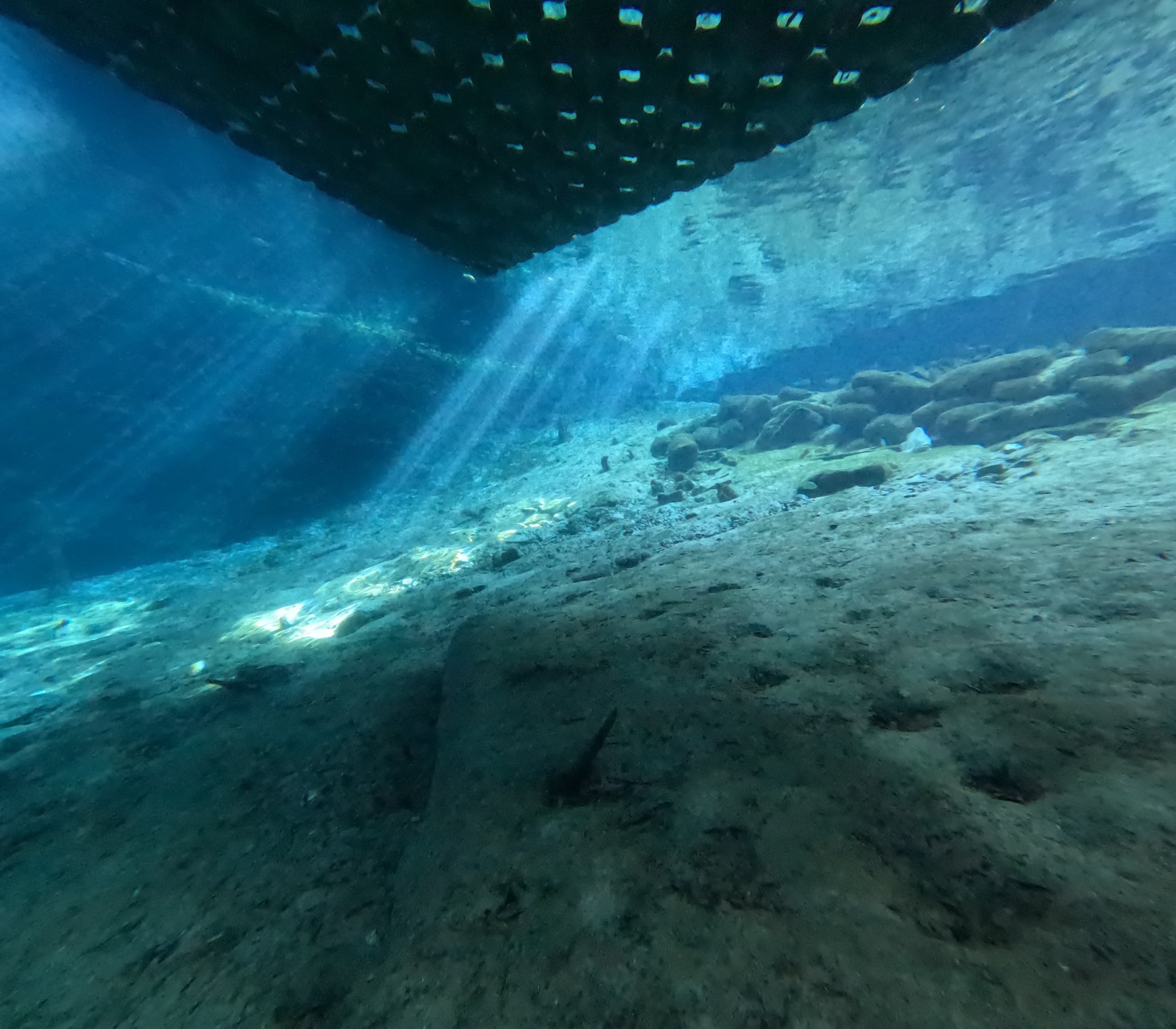 Blue Grotto & Devil's Den: Scuba the Crystal Springs of Williston, Florida photo 1