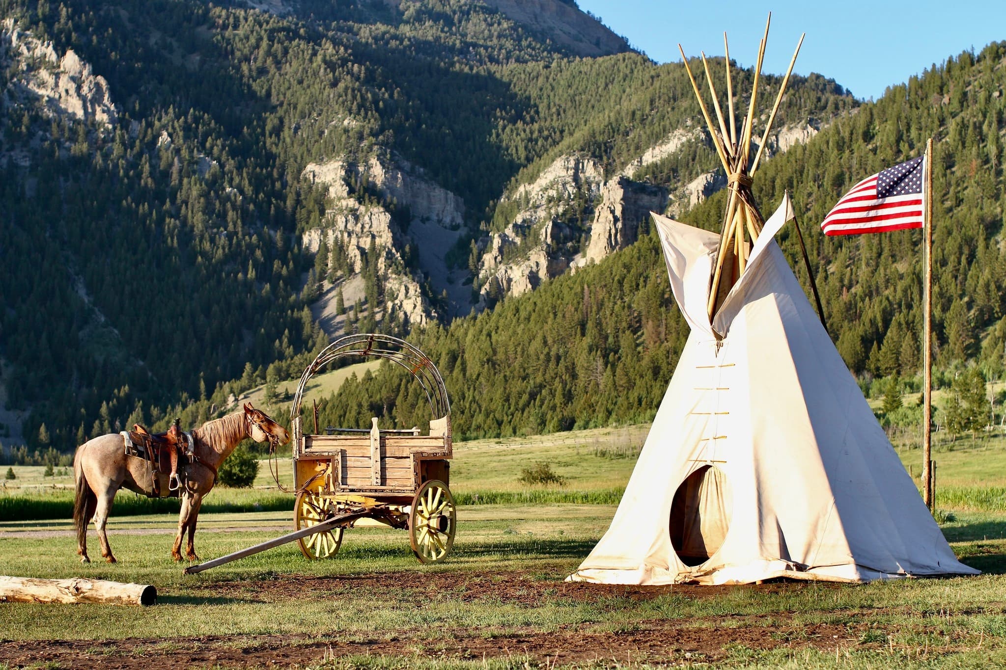 Ride The American: Summit Views and Moose at Willow Creek photo 1