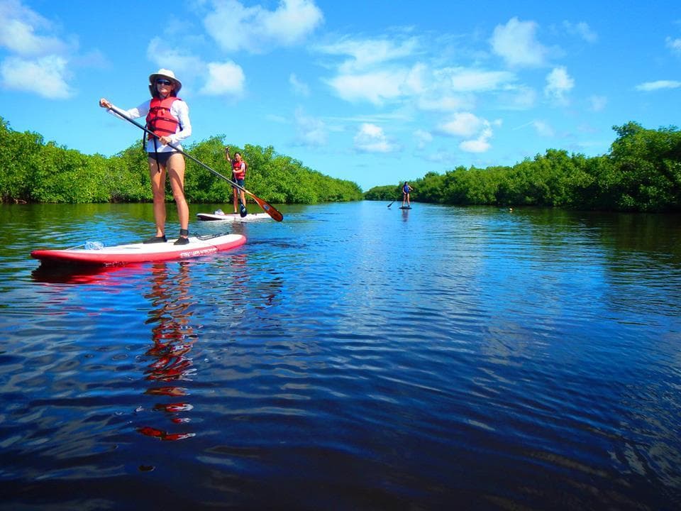 Guided Paddle Board Tour in Cape Coral, Florida