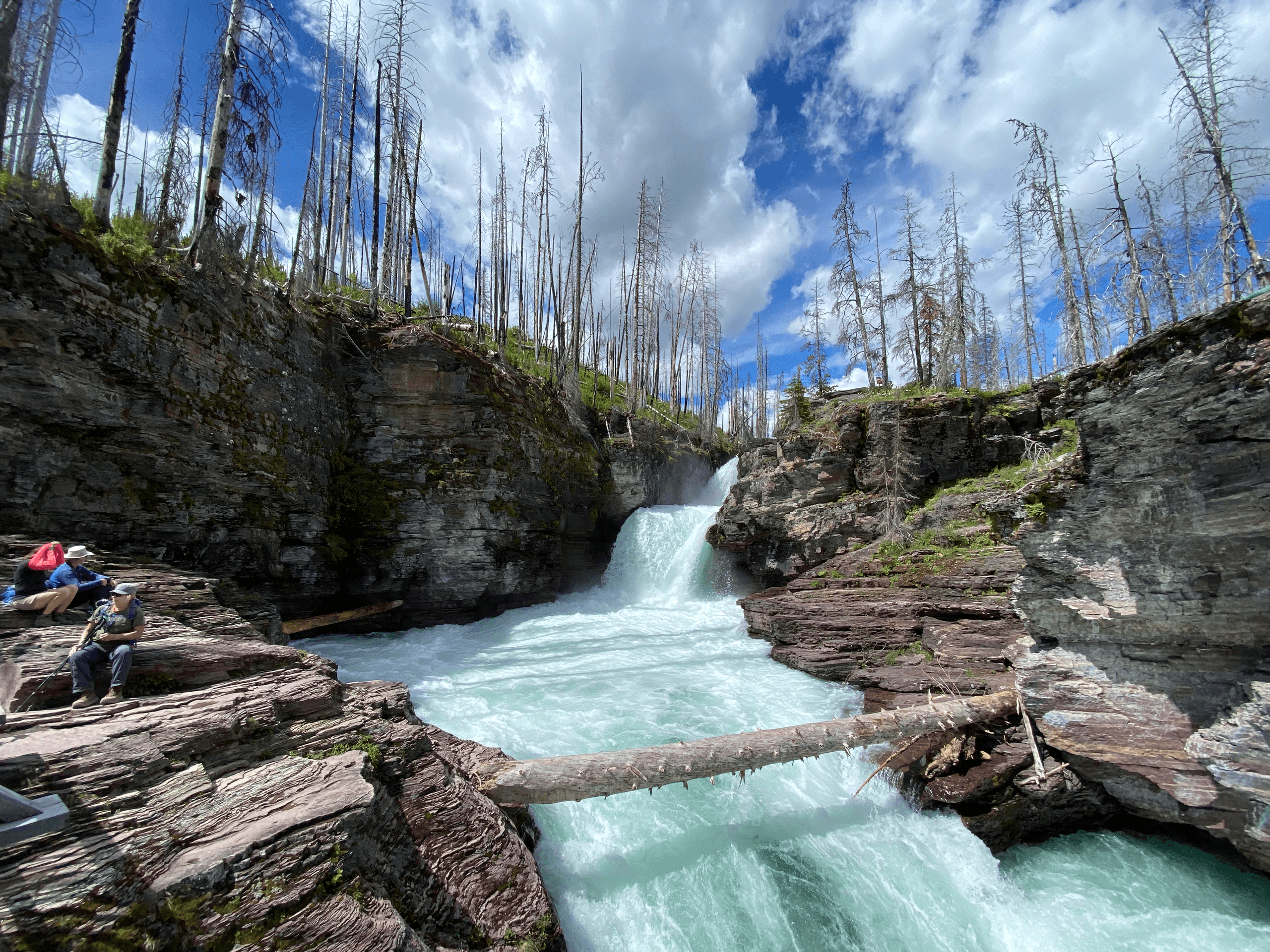 St Mary Falls Hike — Fire, Water & Ice Field Day in Glacier National Park