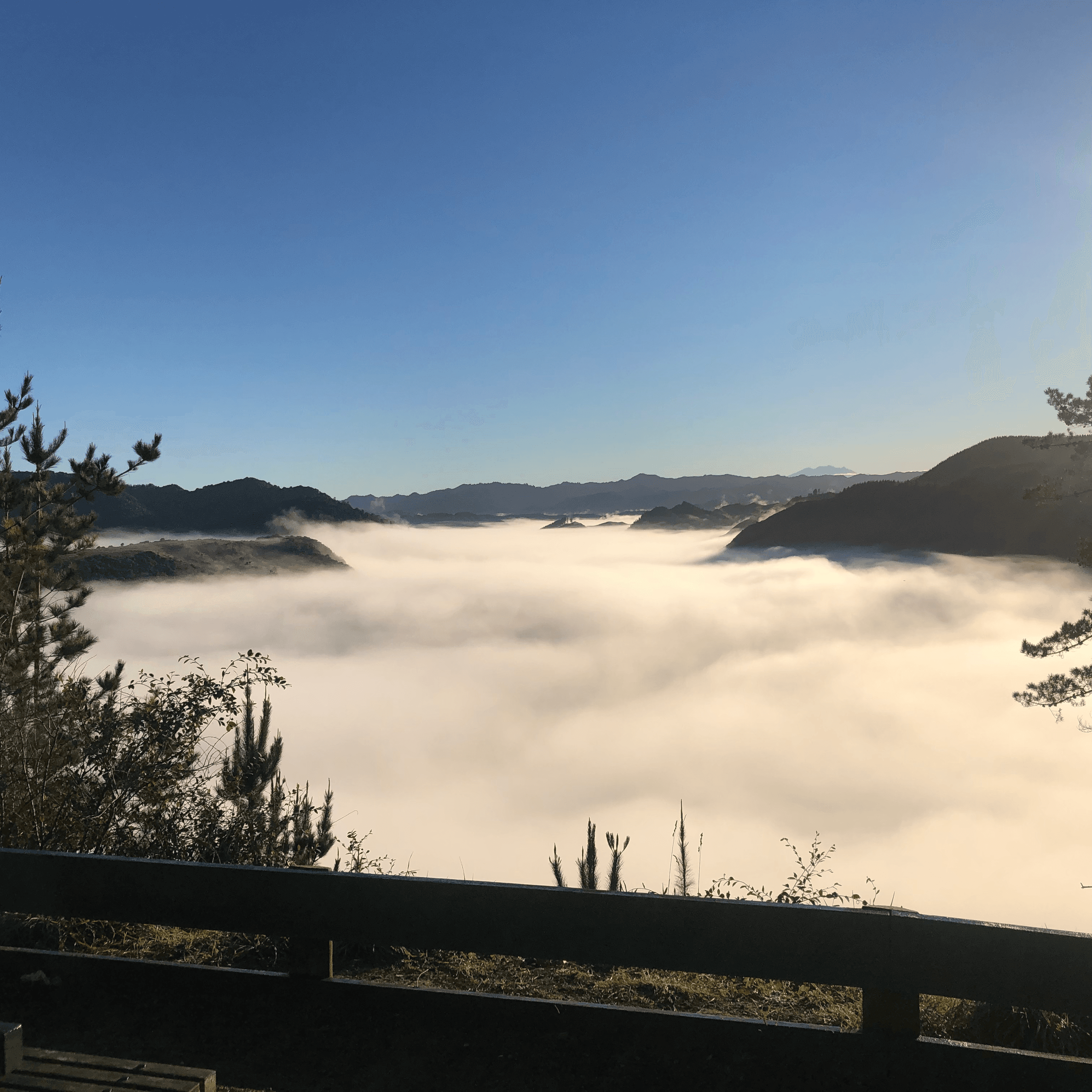 Cycle Through History on the Whanganui River Road: Scenic Biking and Cultural Discovery in New Zealand