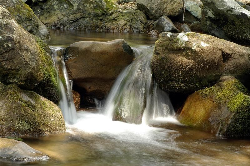 Explore White Oak Canyon Hike Near Syria, Virginia