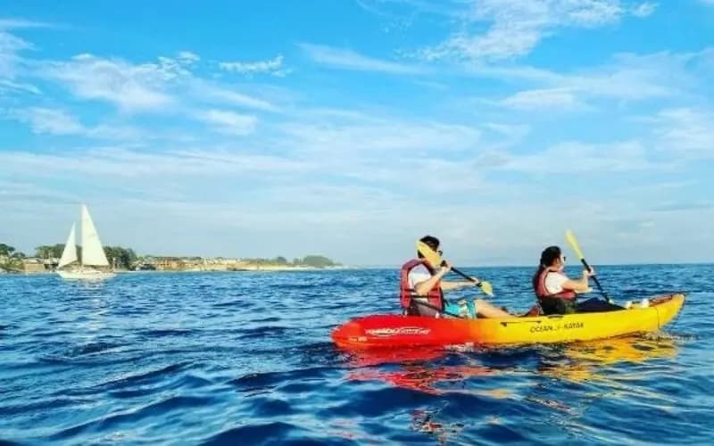 2.5-Hour Kayak Rentals in Santa Cruz, California