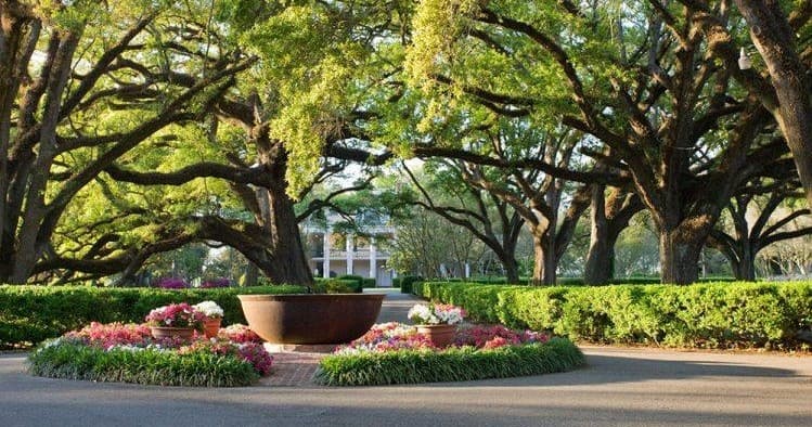 Grand oak drive with fountain at plantation estate, scenic tour