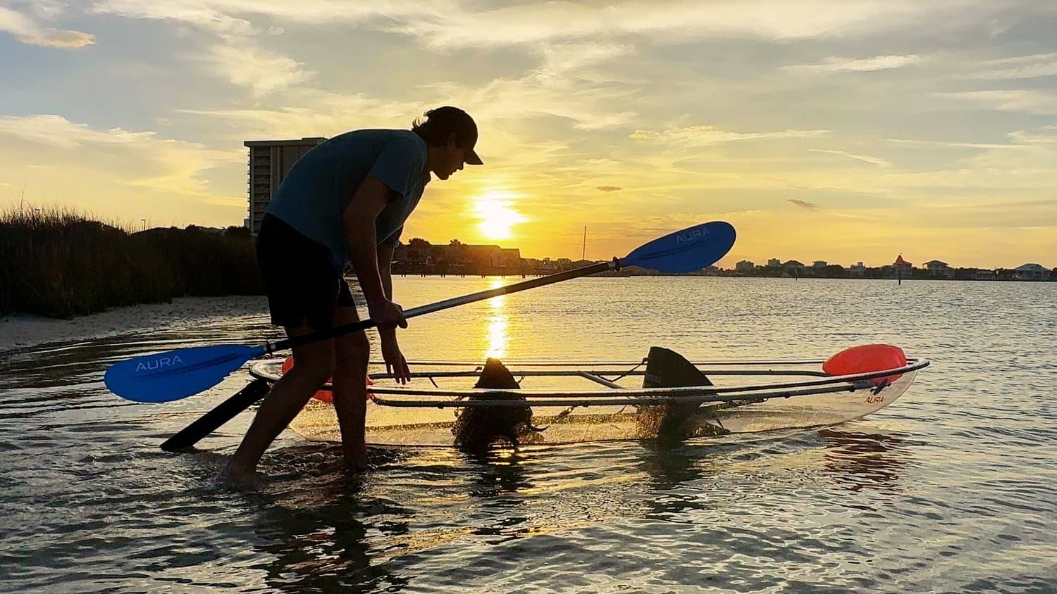 Person launching clear kayak with dog at sunset on coastal bay