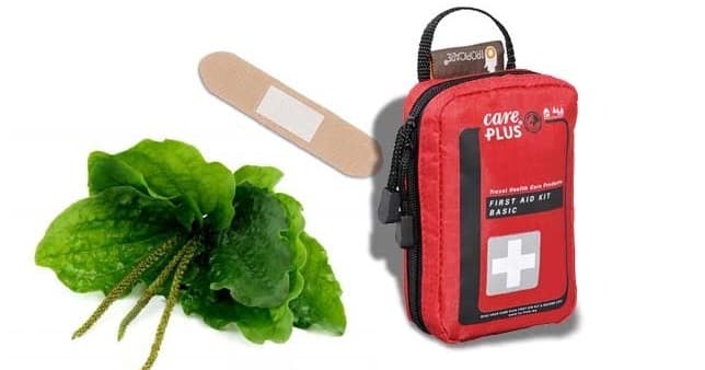 Wilderness First Aid Course at Siegurd Outdoors