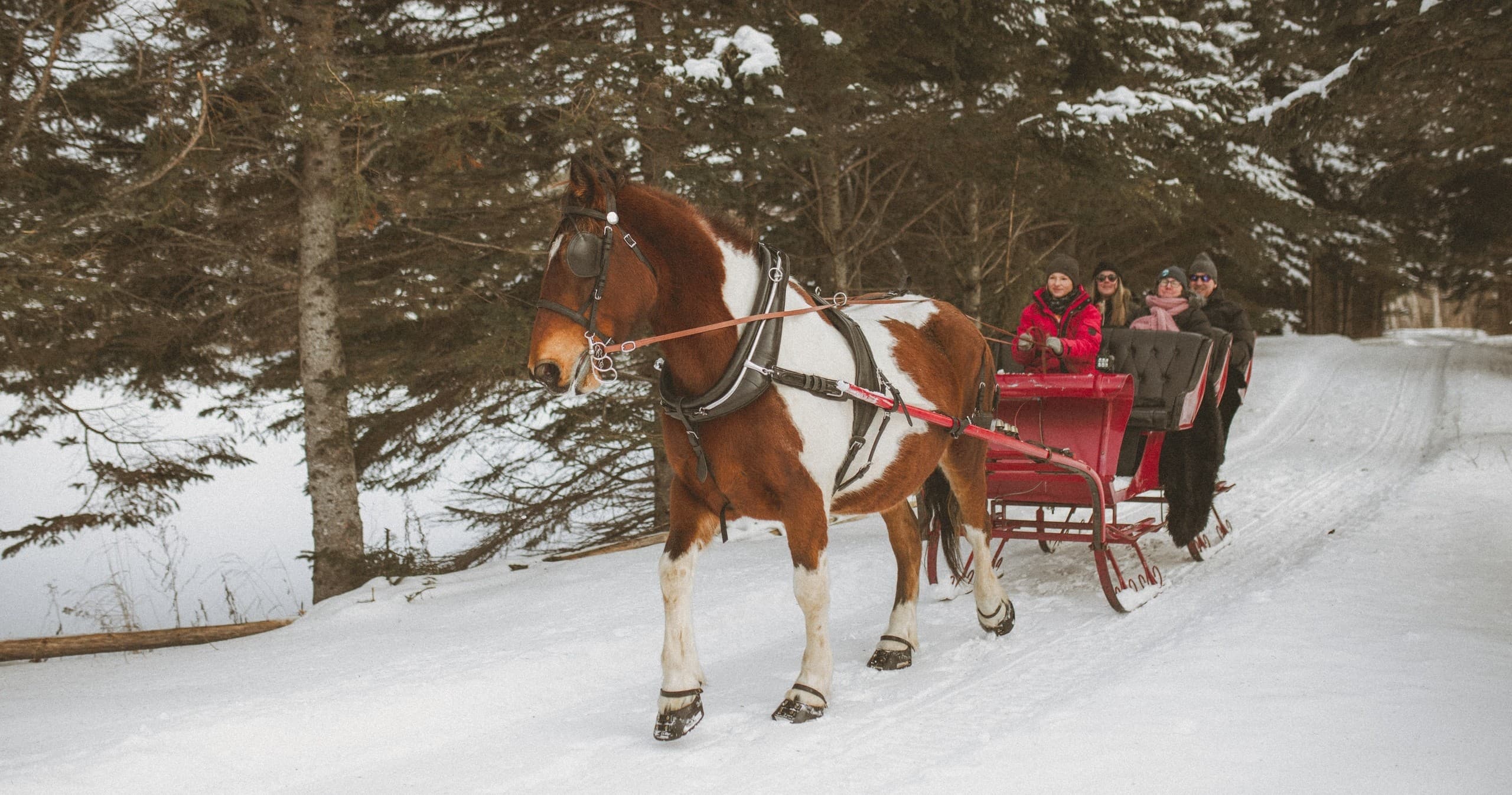 Winter Sleigh Rides at Chalets Villégiature & Pourvoirie Daaquam