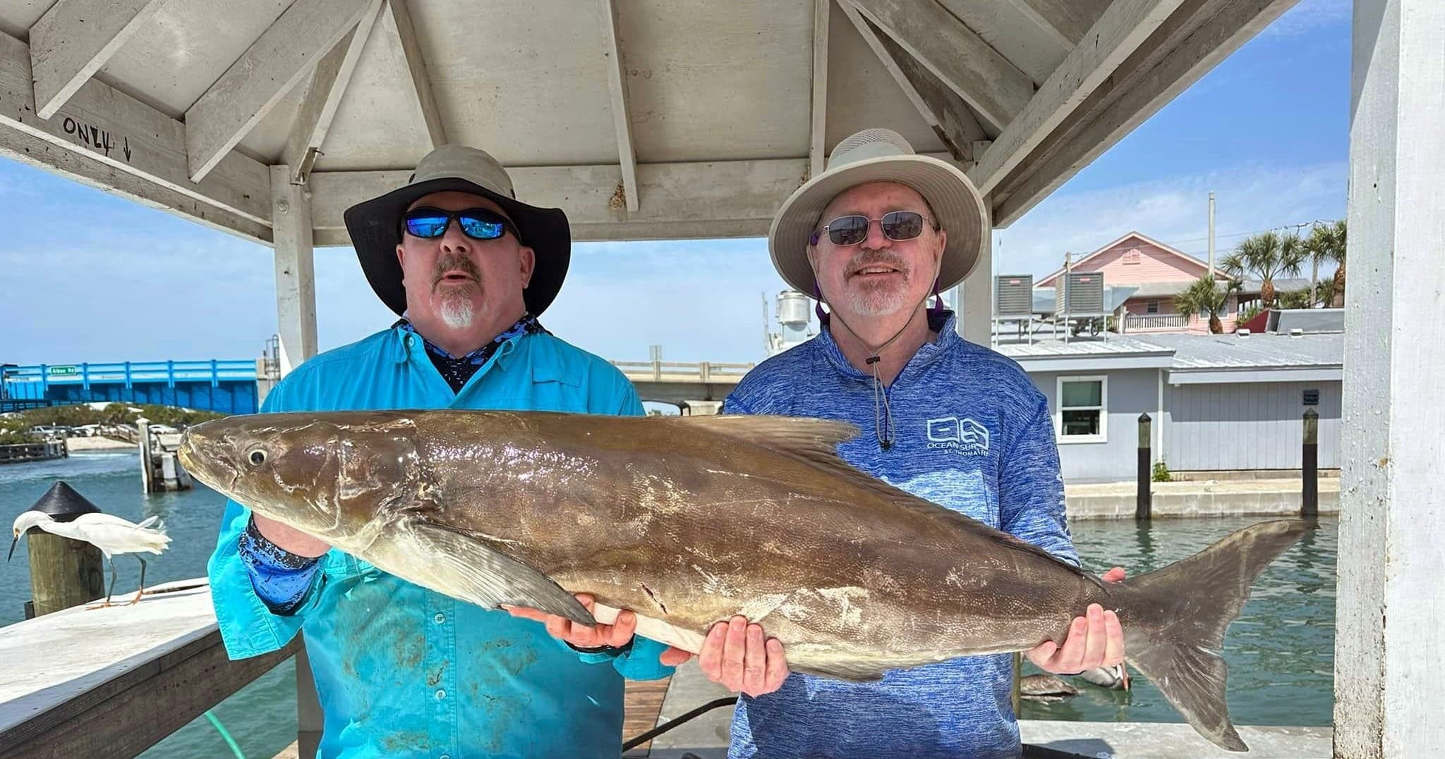 Offshore Deep Sea Fishing with TNT Fishing Charters Venice in Florida