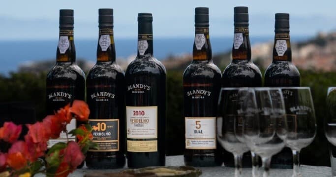 Wine & Vineyard Tours at Madeira's Quinta de Santa Luzia