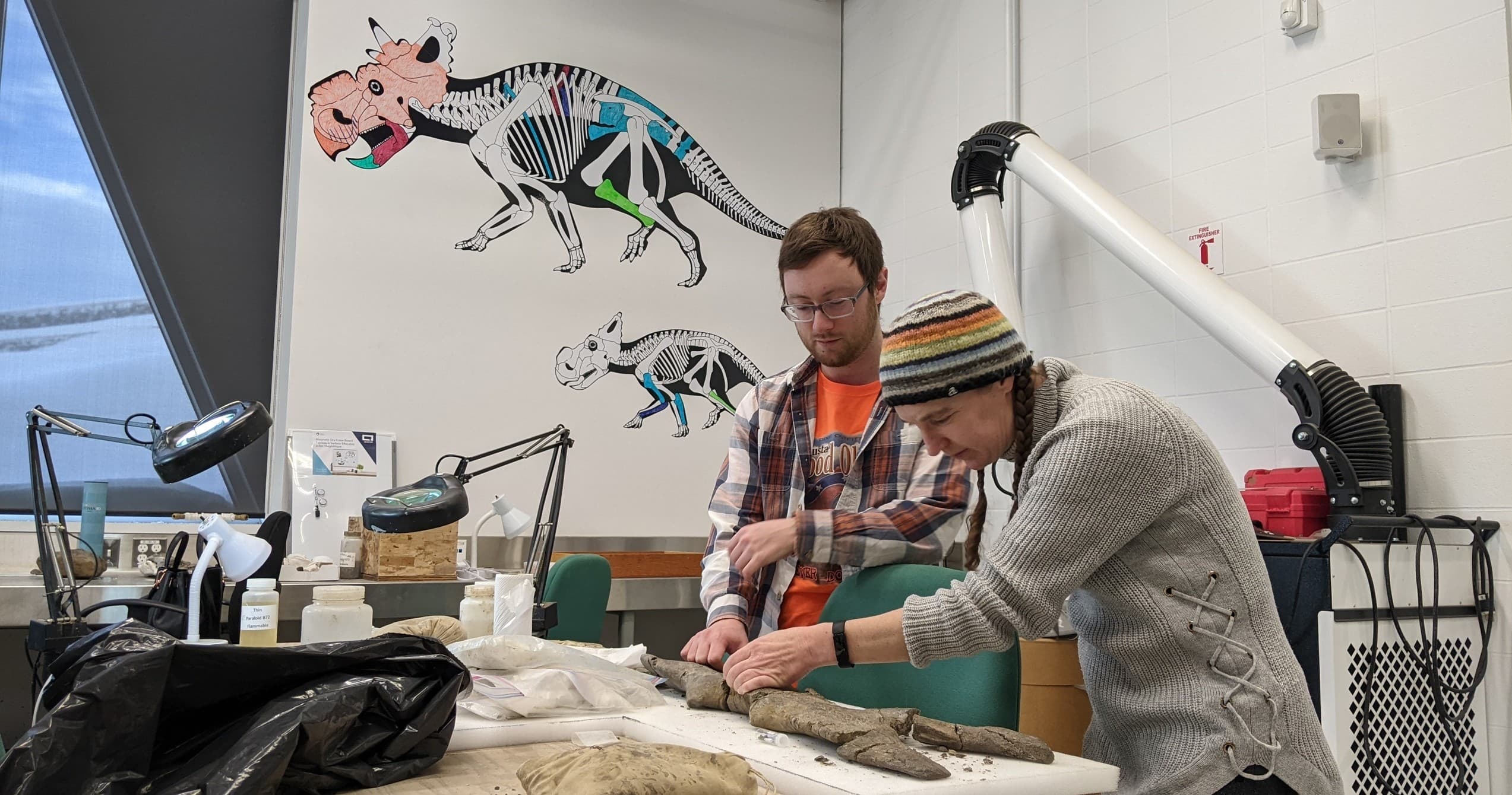 Explore Paleontology Hands-On at Homeschool Days: Palaeo Seniors in Wembley, Alberta