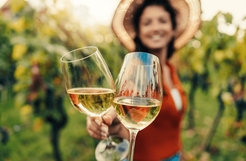 San Francisco Tours and Activities: Woods + Wine Adventure in California