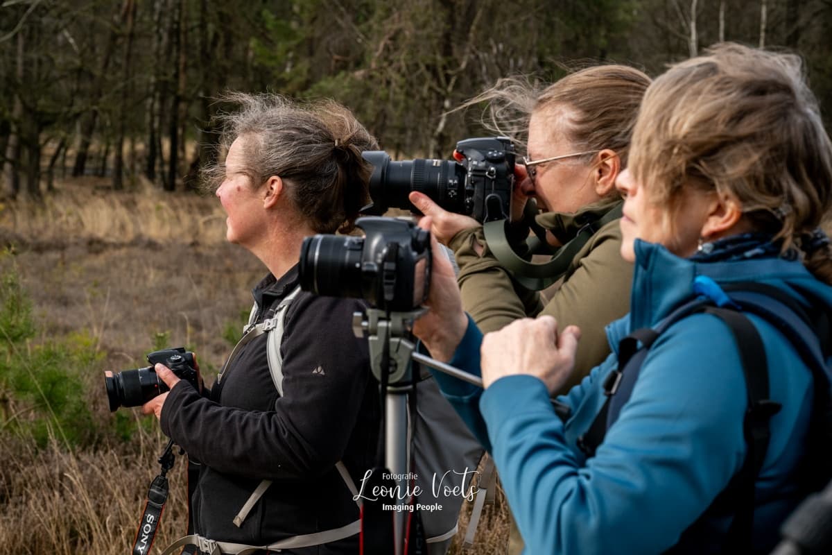 Leersums Veld Nature Photography Workshop with Leonie Voets photo 4