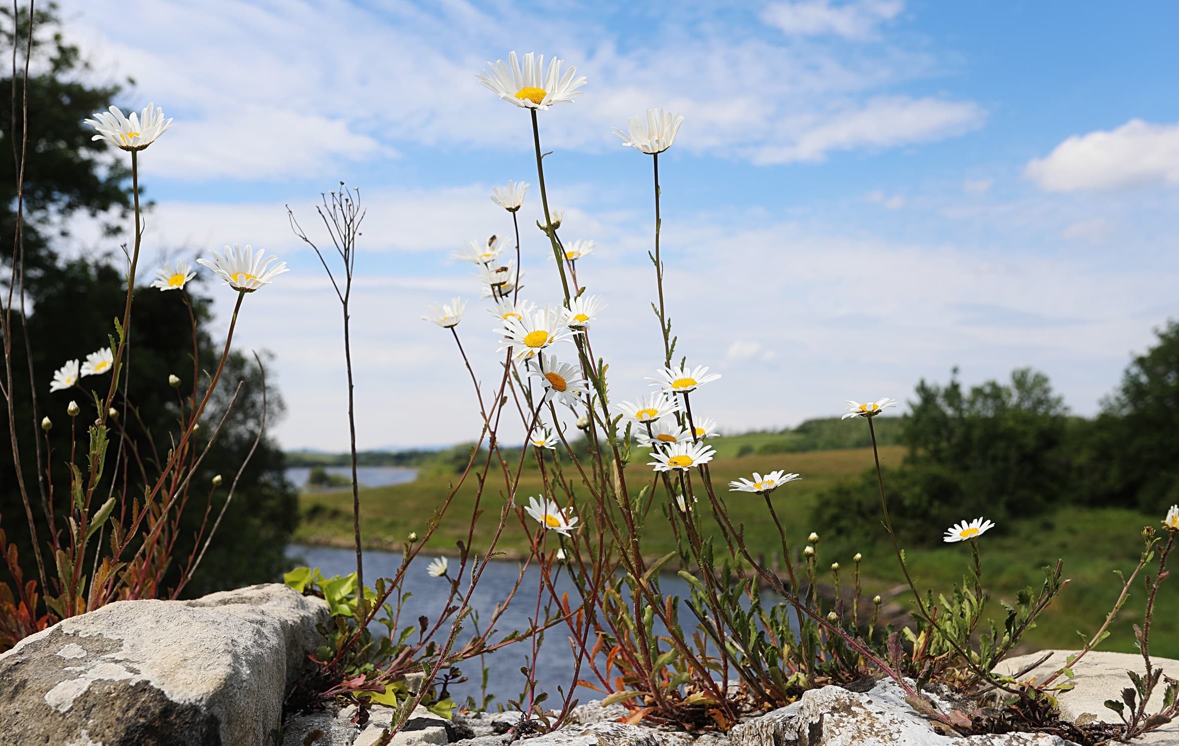 Relaxing Wellness Retreat at Cavan Adventure Centre