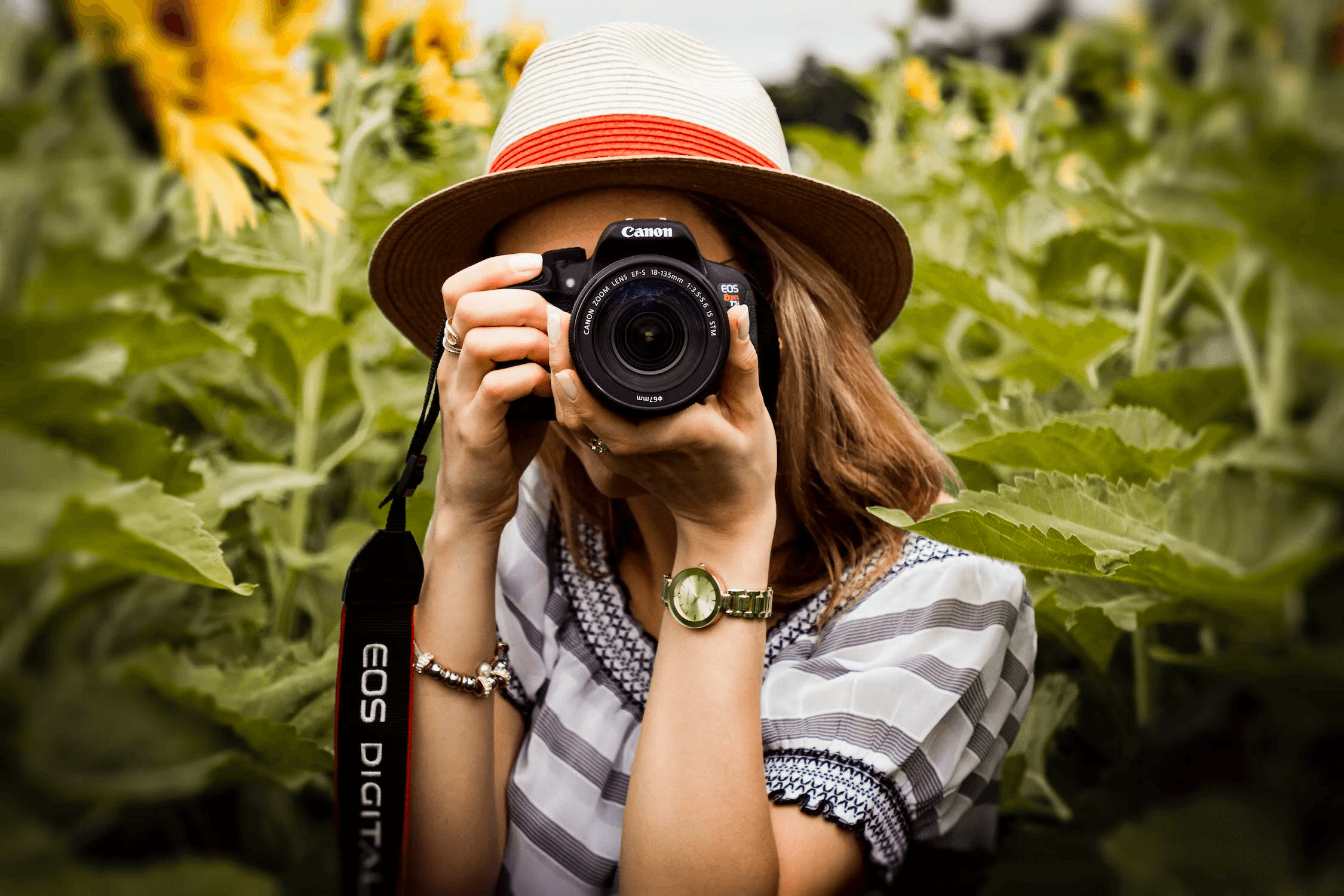 Professional Photography Experience at Loomis Farm, CA