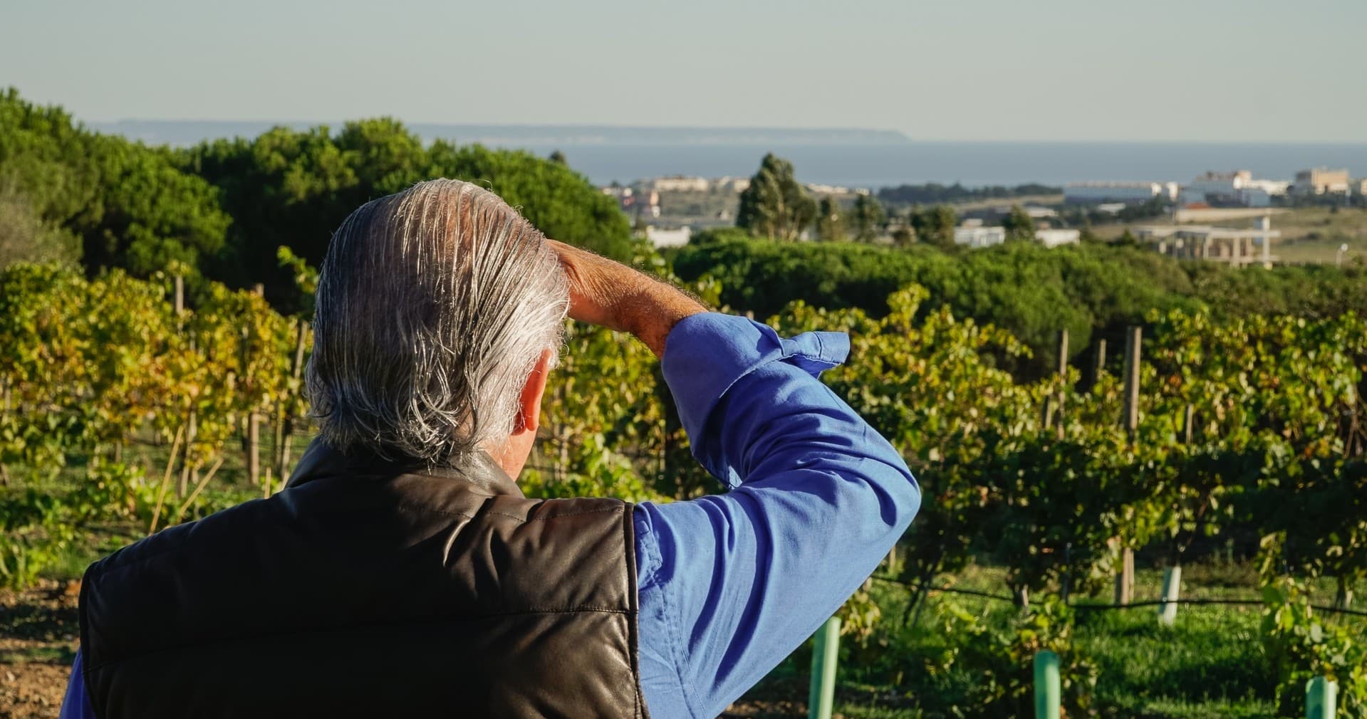 Carcavelos Wine Tasting Journey by Farm Experiences & Tours