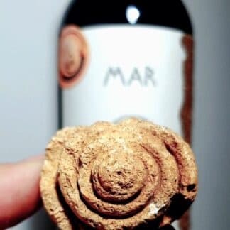Indulge in Cata de Vino&Chocolate: A Unique Wine and Chocolate Tasting Experience in Arriate, Spain