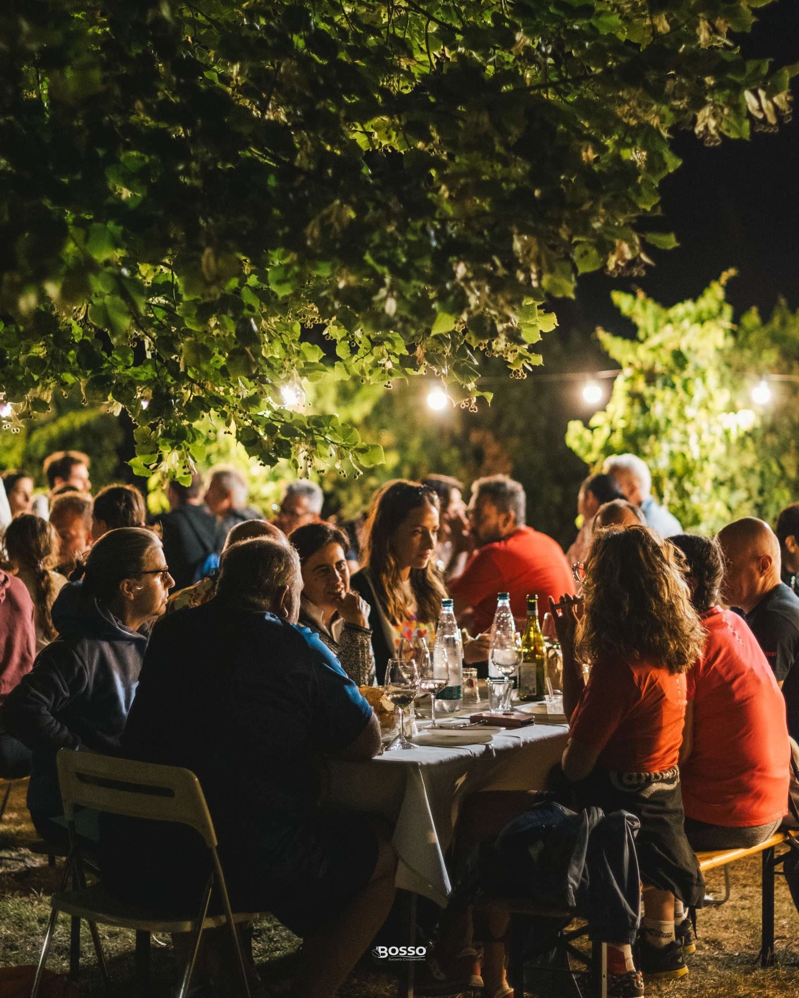 Dinner Under Ancient Olive Trees in Ofena: Sunset Ride, Olive Oil Tasting & Starry Supper