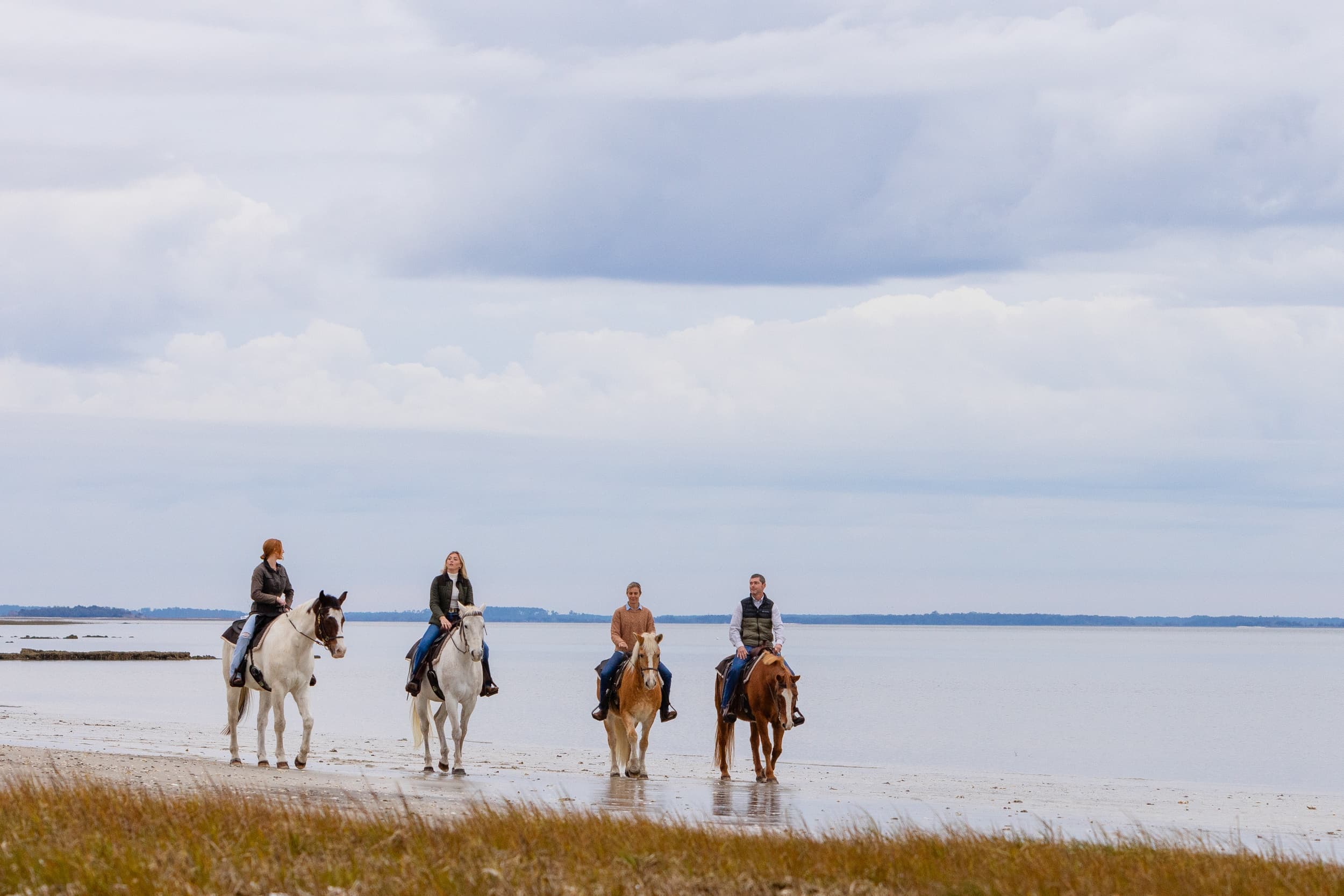 Wildlife & Scenic Horseback Tour at Camelot Farms