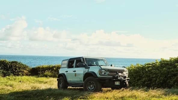 Epic Road to Hana Adventure in Kahului, Hawaii