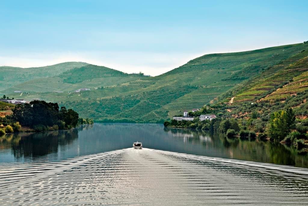 Douro Valley Vineyard Cruise with BBDouro