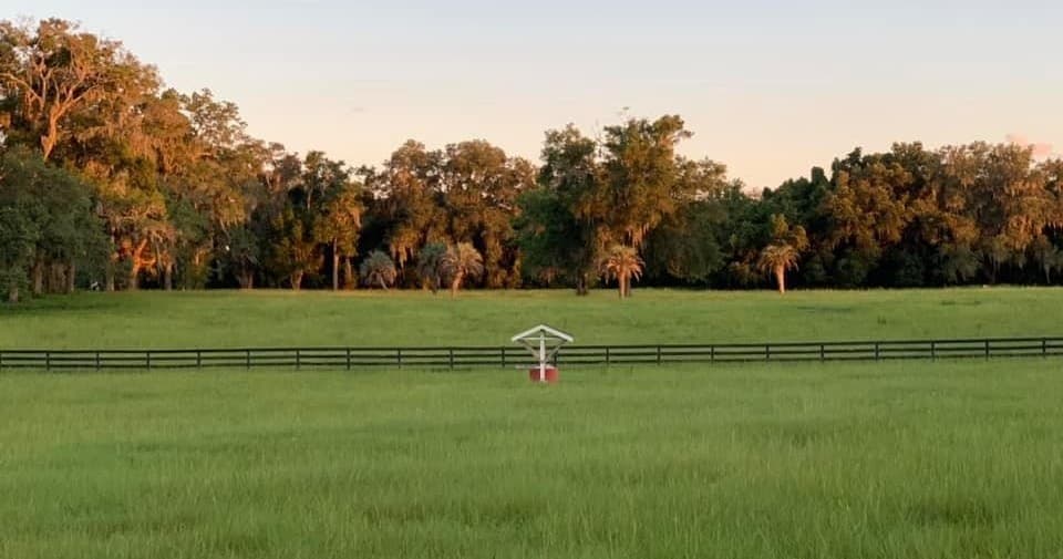 Wide green pasture with distant gazebo at golden hour on farm