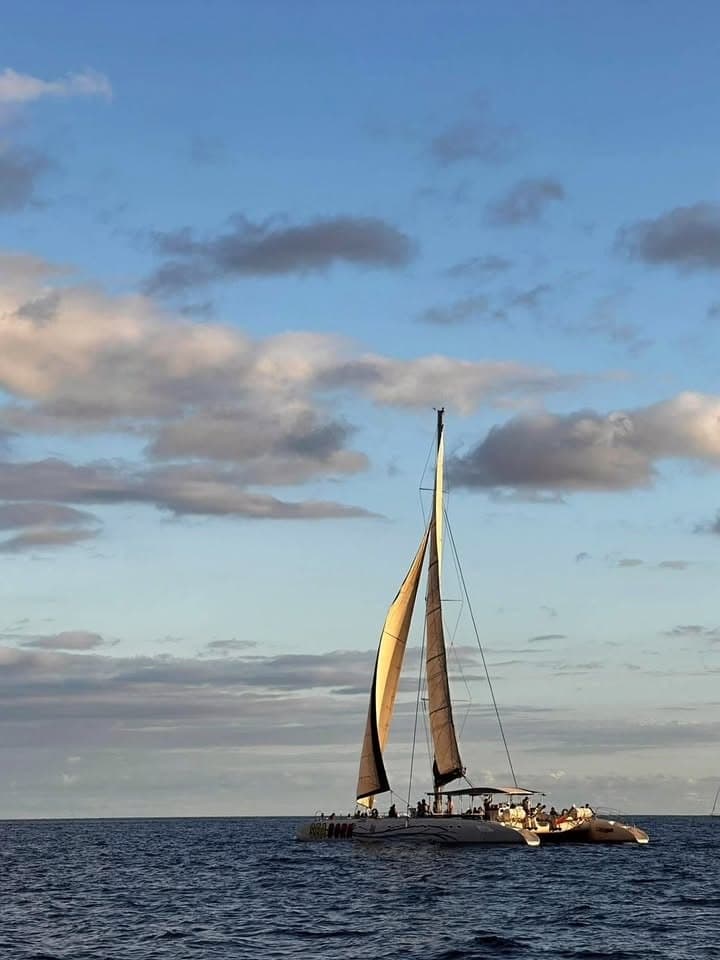 Sunset Catamaran Cruise with Seaborn Catamaran in Madeira