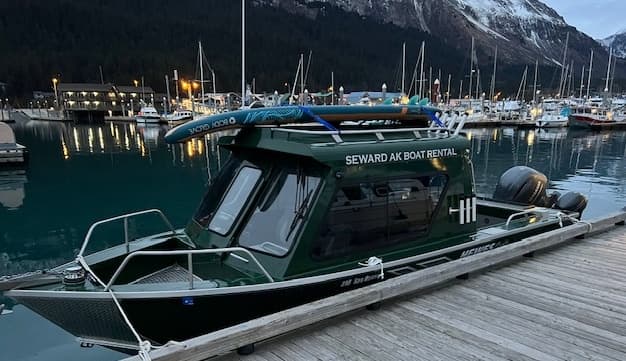 Private Resurrection Bay Boat Tour: Seward Wildlife & Remote Coves (4 Hours)