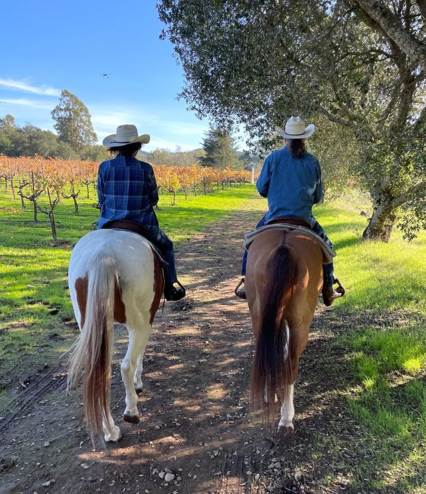 Private Vineyard Proposal: Horseback Ride and Tasting at Bartholomew Estate Winery, Sonoma photo 1