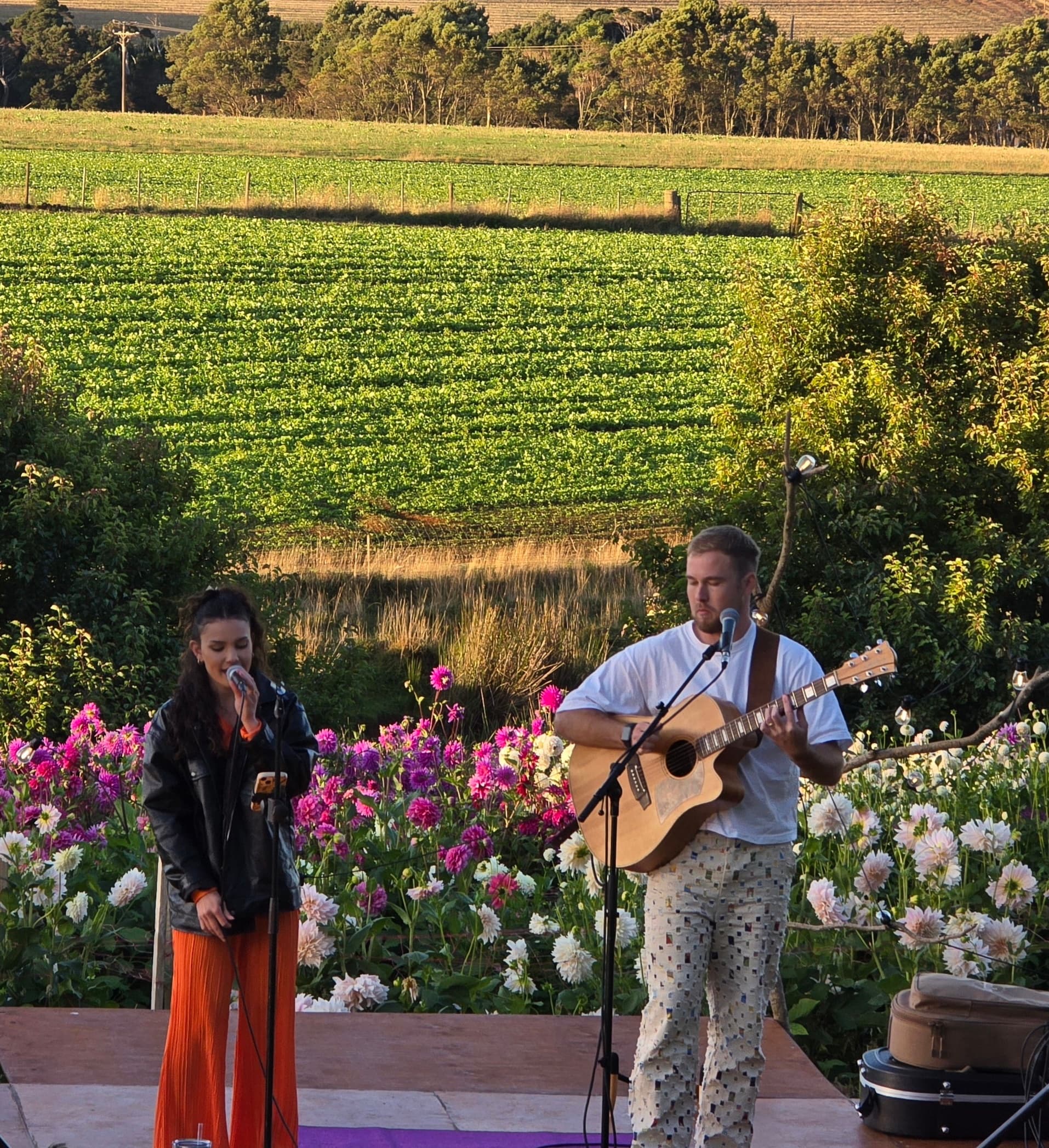 Friday Night at The Patch: Live Music & Tulip Fields on Table Cape