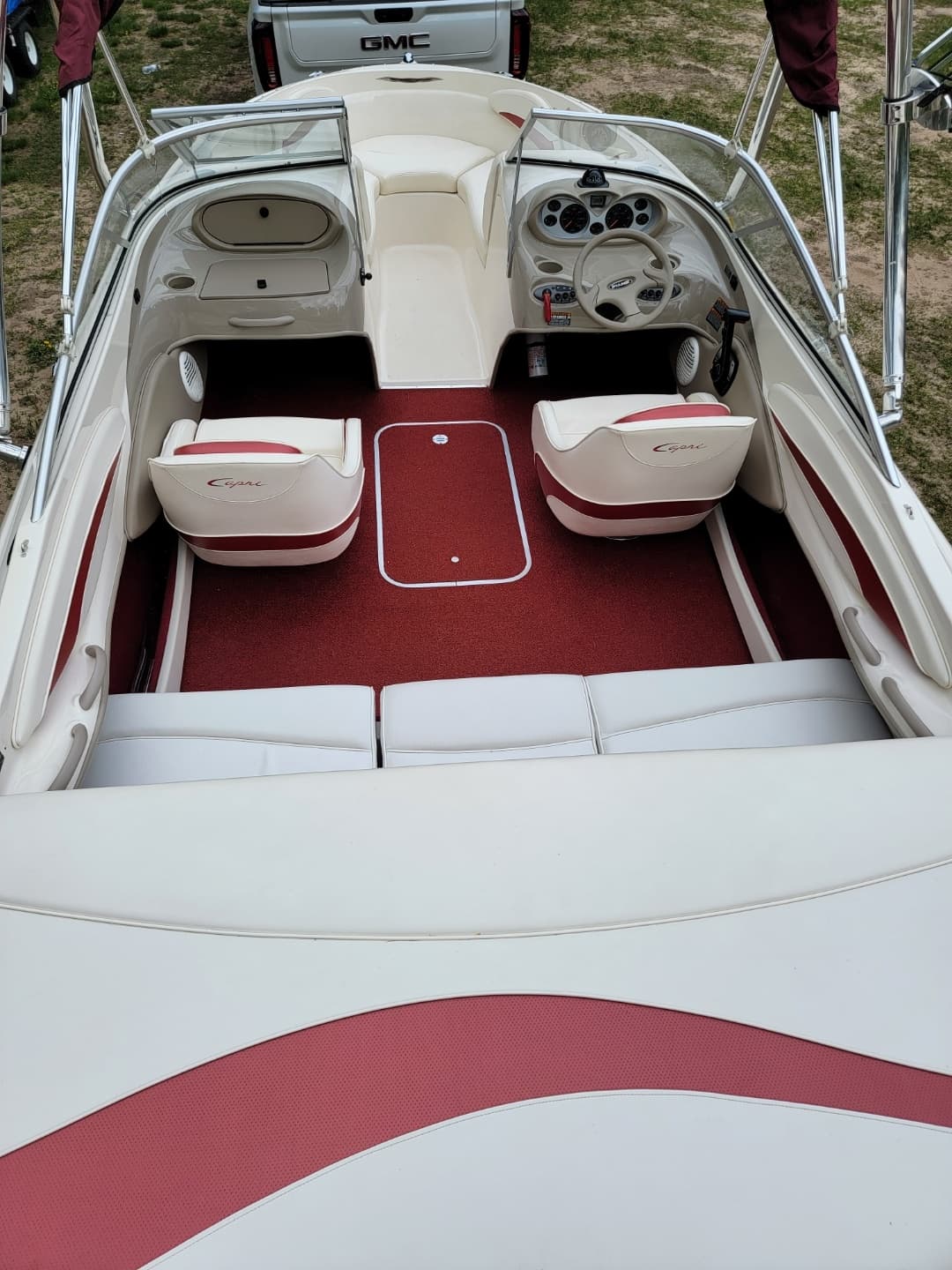 Thrilling Bayliner Capri Ski Boat Adventure in Leland, MI