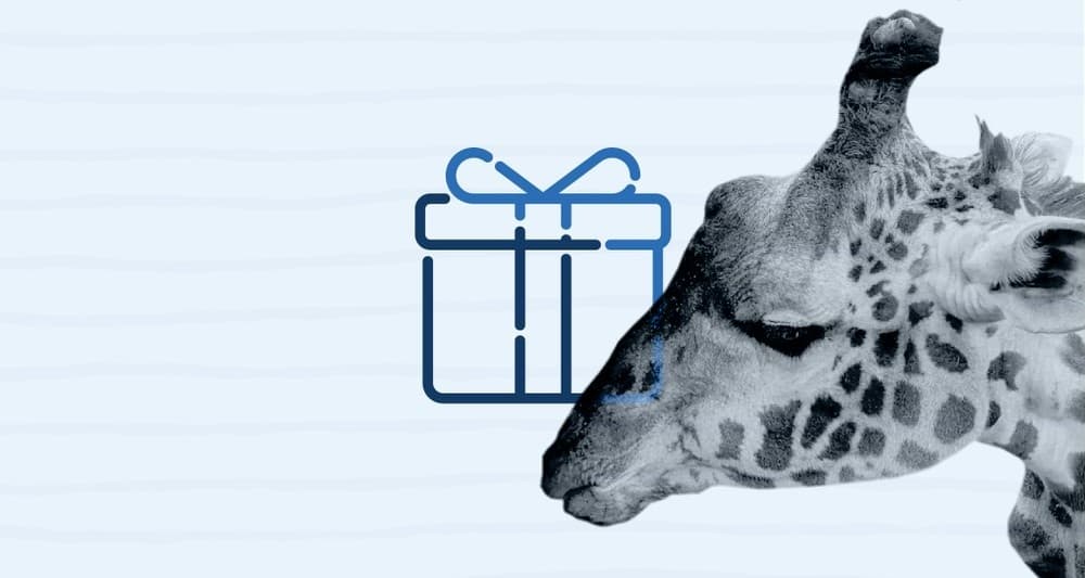 Wildlife Interaction at Lehigh Valley Zoo: Giraffe Encounter Experience