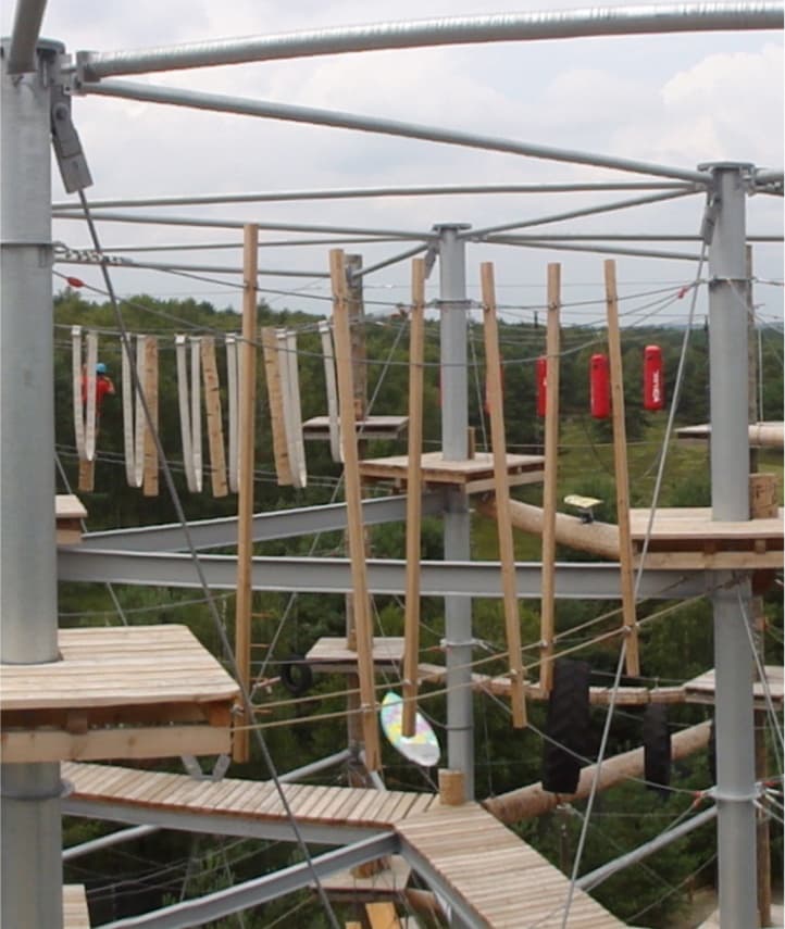 Aerial ropes course platforms and suspension bridges in forest