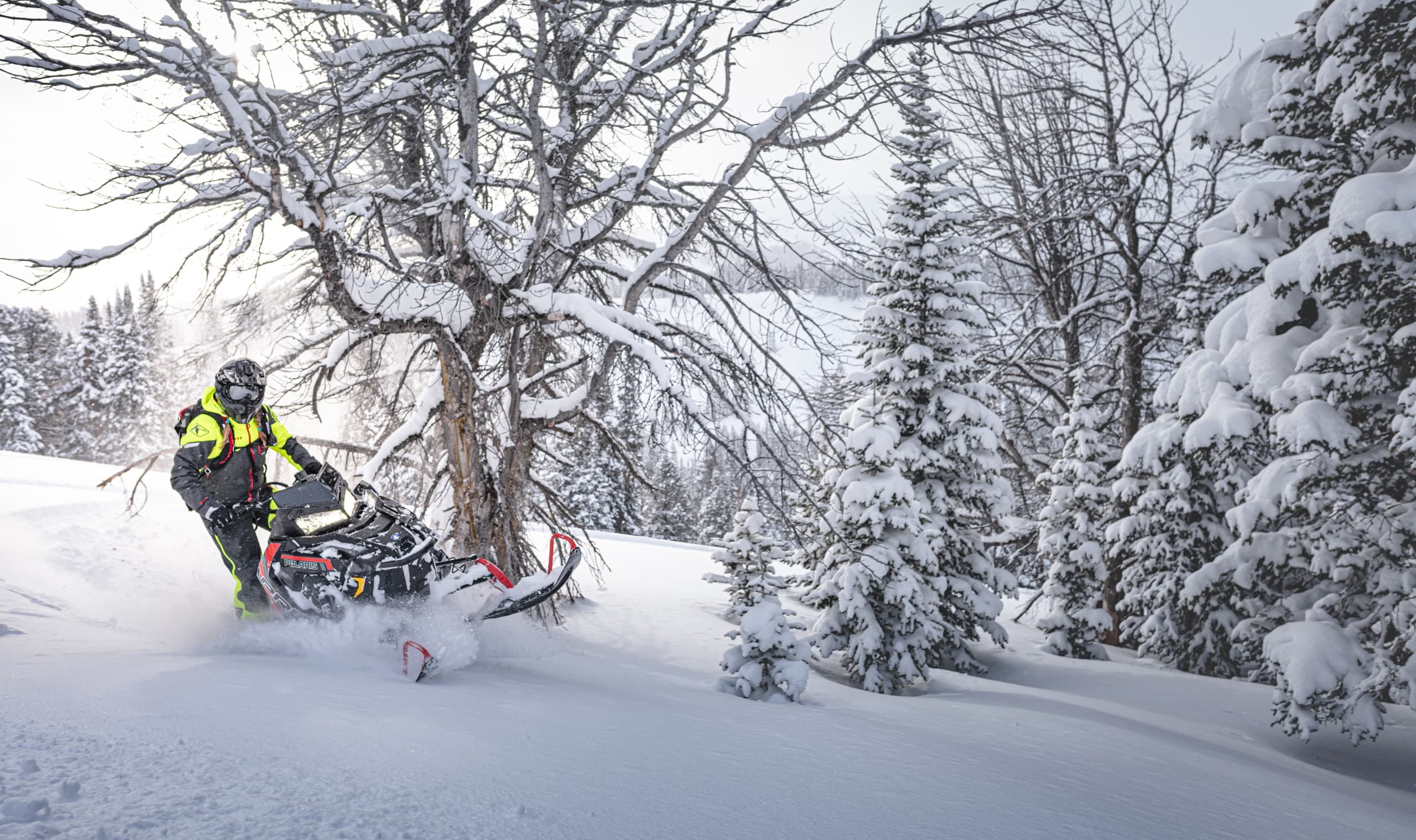 Wallace Polaris 850 Pro RMK Snowmobile Rental in Idaho