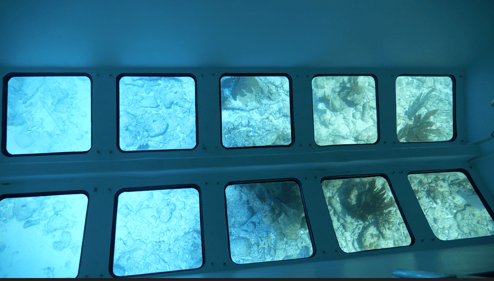 CTA Section Background Image