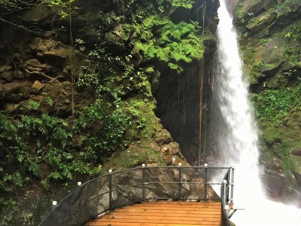 Hike and Swim La Oropéndola Waterfall with Lunch near Liberia photo 3