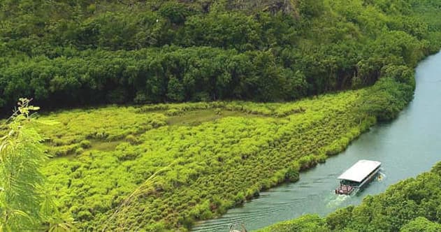 Guided river boat tour through lush green Kauai valley