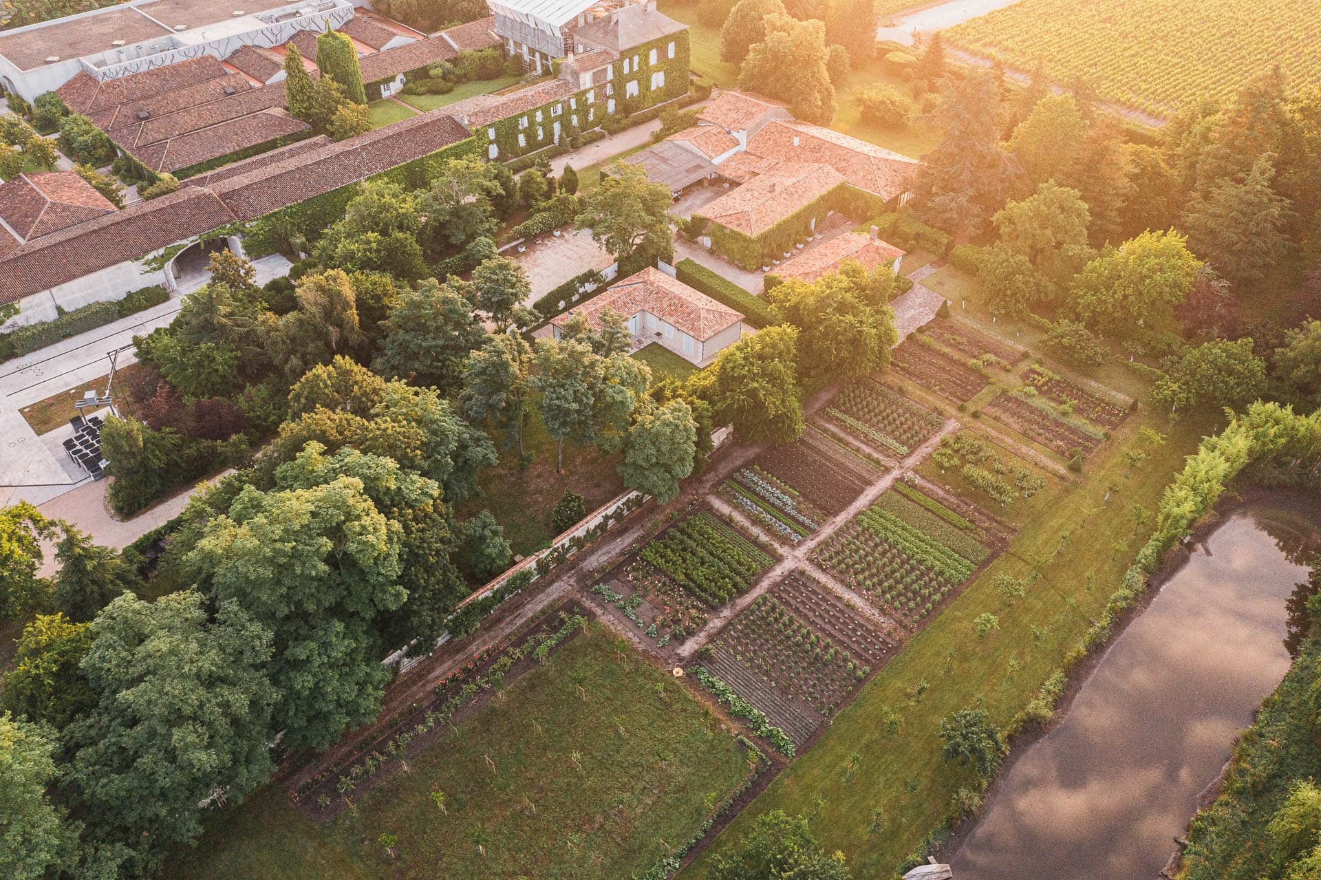 Garden Tours & Wine Tasting at Château Talbot