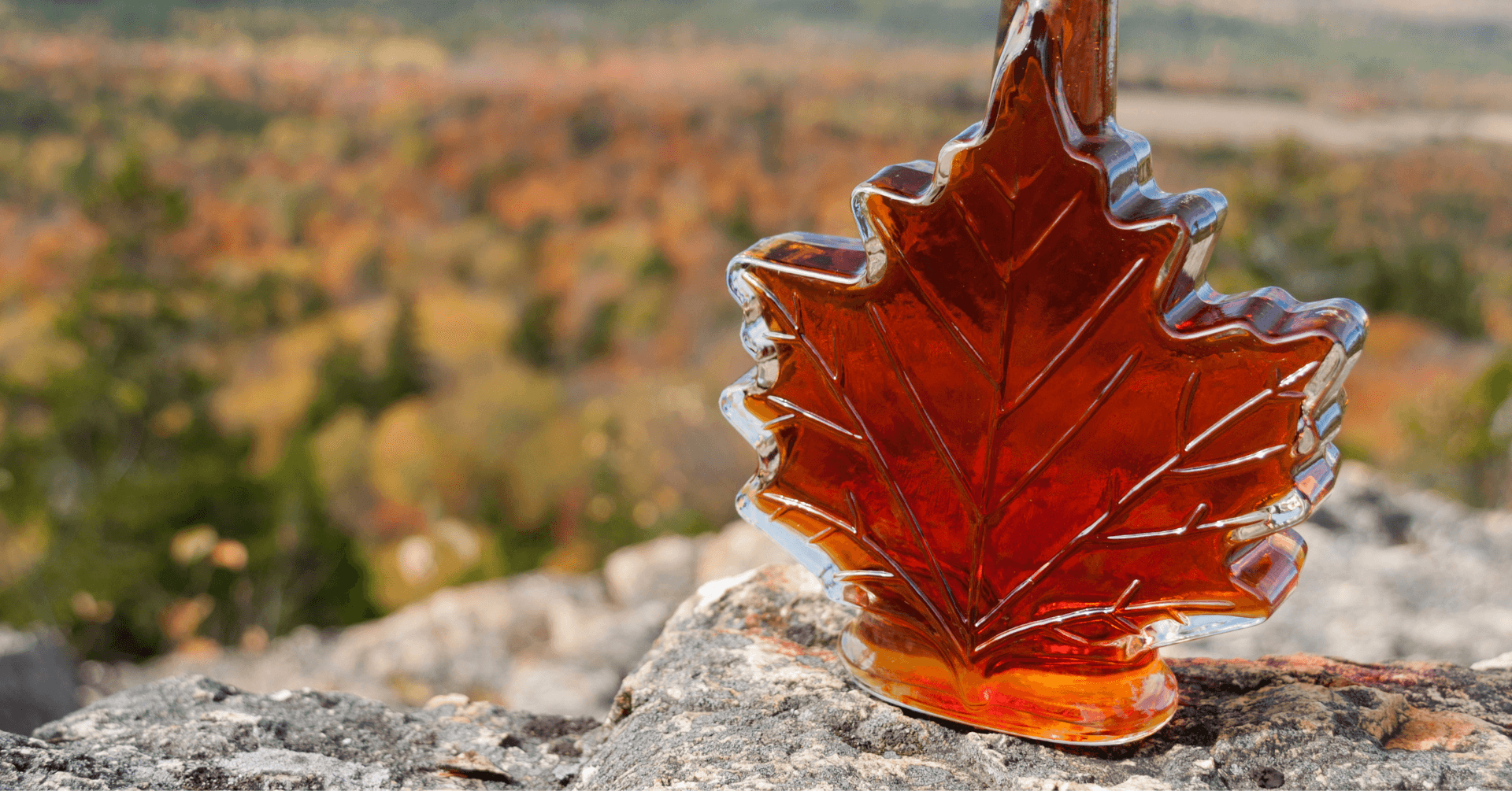 Vermont Maple Cooking Class: Culinary Outdoor Adventure