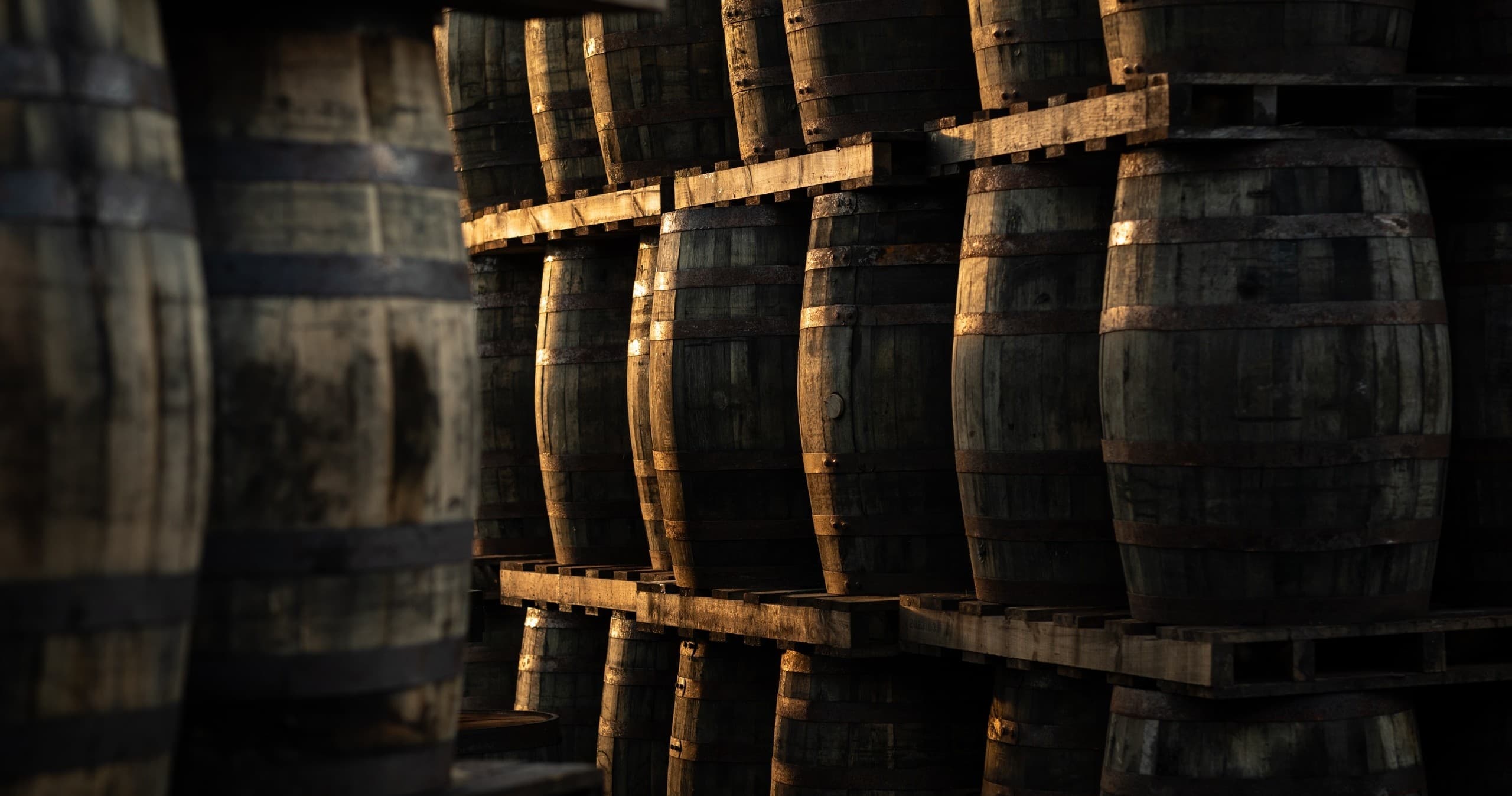 Whisky Heritage & Tasting at Bladnoch Distillery in Scotland
