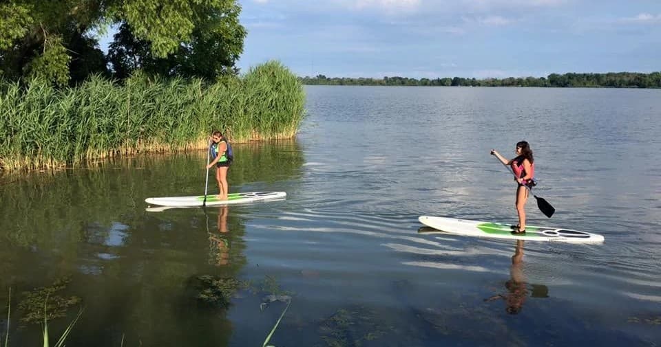 Stand-up paddleboarders exploring reed-lined Portage River
